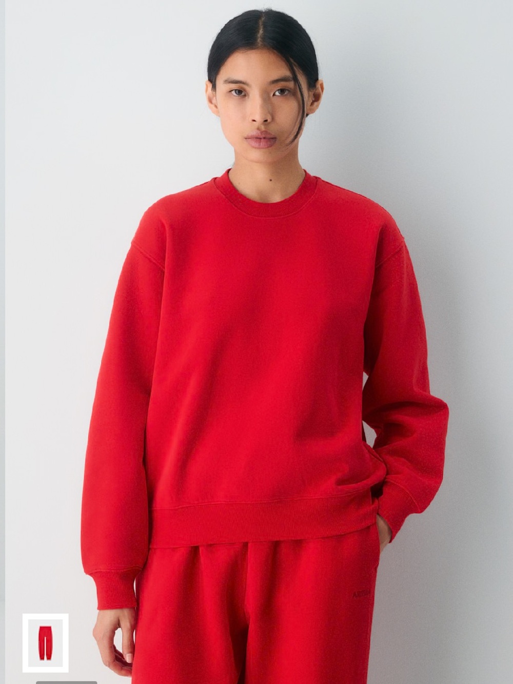 Aritzia Cozy Sweatfleece Perfect Crew Sweatshirt
